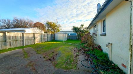 Three bedroom home in Waikiwi! - Photo 5