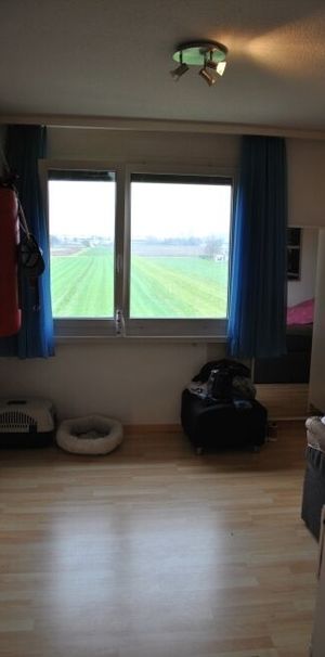 Simple, comfortable apartment with sitting area in the garden - Photo 1