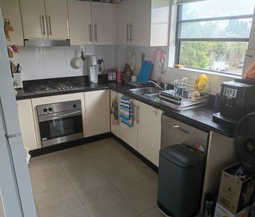 Alexandria - Photo 4