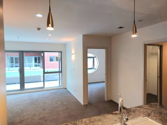 Come and Live The Wagener Place Dream - Photo 1