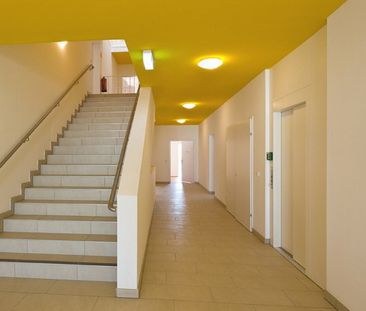 ST.PÖLTEN XVI/1 - Junges Wohnen - Photo 2