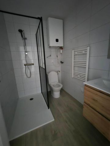 Location Appartement 1 pièce 16m² MACON 71000 - Photo 5