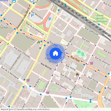 1550 Rue des Bassins Montréal (Le Sud-Ouest), QC H3C