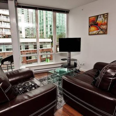 Pet Allowed -Available March 1st -Furnished Studio @233 Robson - Photo 3