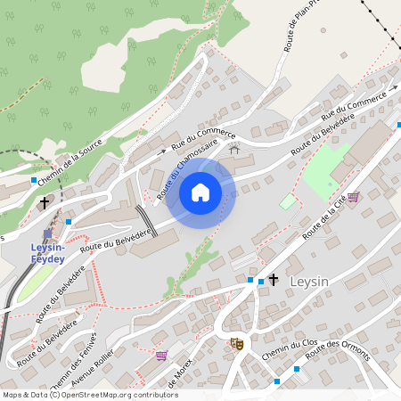 Route Du Belvédère, 1854 Leysin