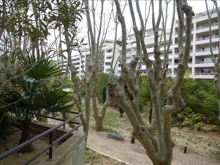 APPARTEMENT MONTPELLIER - 2 pièce(s) - 39 m2, - Photo 5