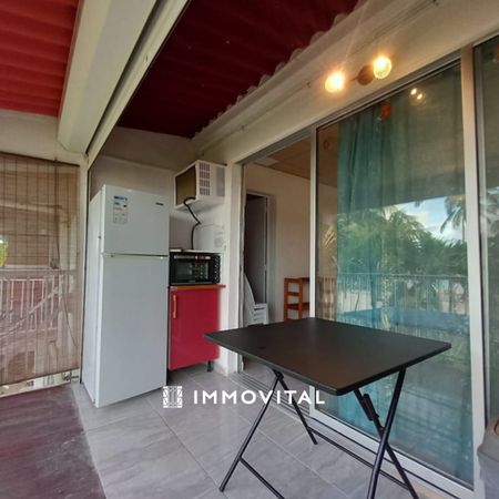 Location Appartement 1 pièce 31m² LE MOULE 97160 - Photo 3