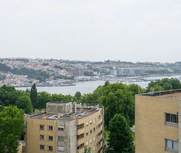 Rua do Campo Alegre, Porto, Braga 4150-177 - Photo 6