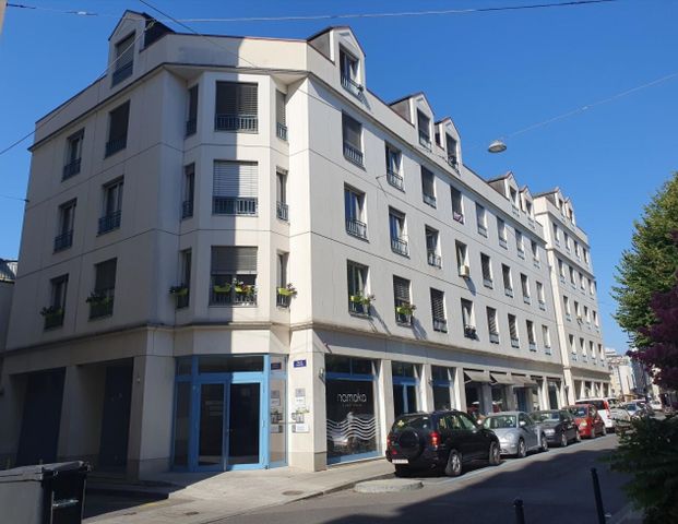 Duplex avec terrasse - Rue du Docteur-Alfred-Vincent, 1201 Genève - Photo 1