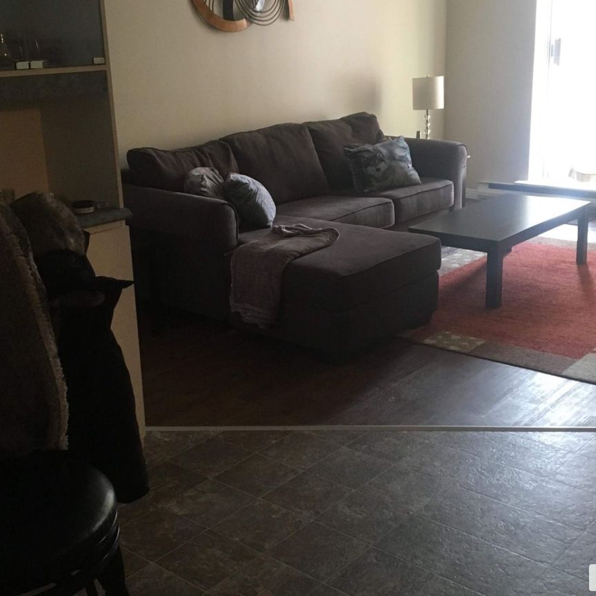 321-23, rue de la Soeur-Jeanne-Marie-Chavoin, Gatineau (Hull) à louer - Photo 1
