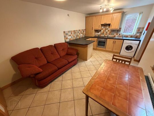 Flat 1, 95 University Avenue, Belfast, BT7 1GX - Photo 1