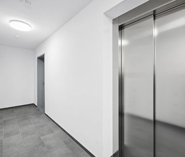 Die Separate: 2-Zimmer-Neubauwohnung mit EBK und Balkon - Foto 6