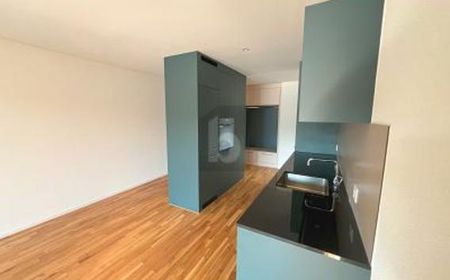 Wohnung in Beinwil am See - Photo 2