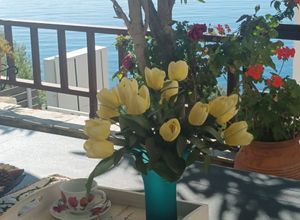 Διαμέρισμα για ενοικίαση - Παναγιά, - Photo 5