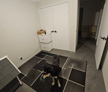 Hilbert - Photo 6