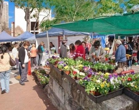 14/166 Pacific Highway North Sydney - Photo 3