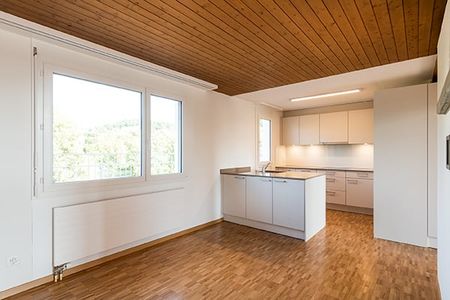 "Heimelige Wohnung mit riesiger Dachterrasse!" - Photo 2