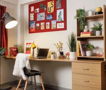 Large Standard Double Studio - Photo 2