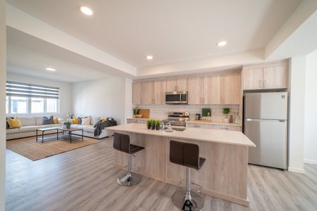 Price Way/Price Lane/ Price Link, Edmonton, AB, Paisley - Photo 4