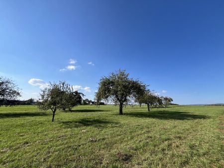 Lebenswertes Burgenland: Doppelhäuser in absoluter Ruhelage! - Photo 2