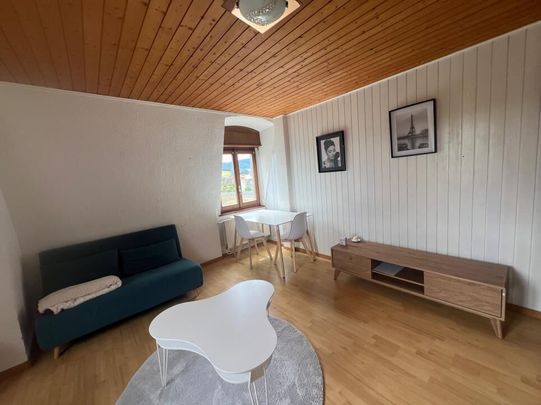 Coquet 2,5 pièces entièrement rénové au dernier étage d'un immeuble proche de la gare - Photo 1