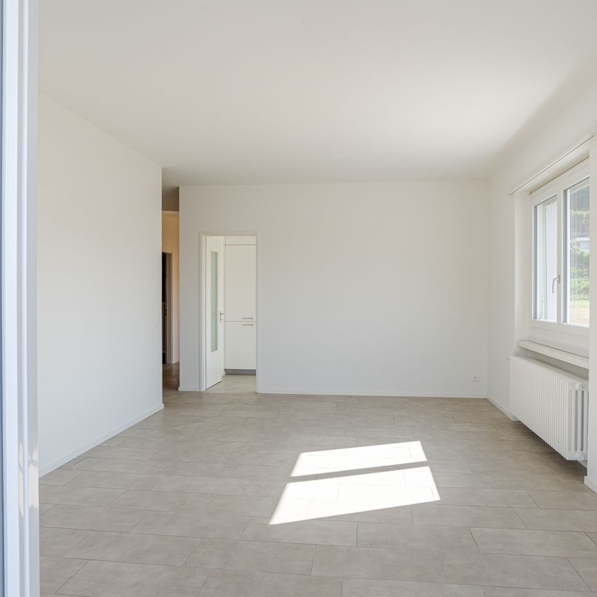 MENDRISIO – LUMINOSO APPARTAMENTO - Foto 1