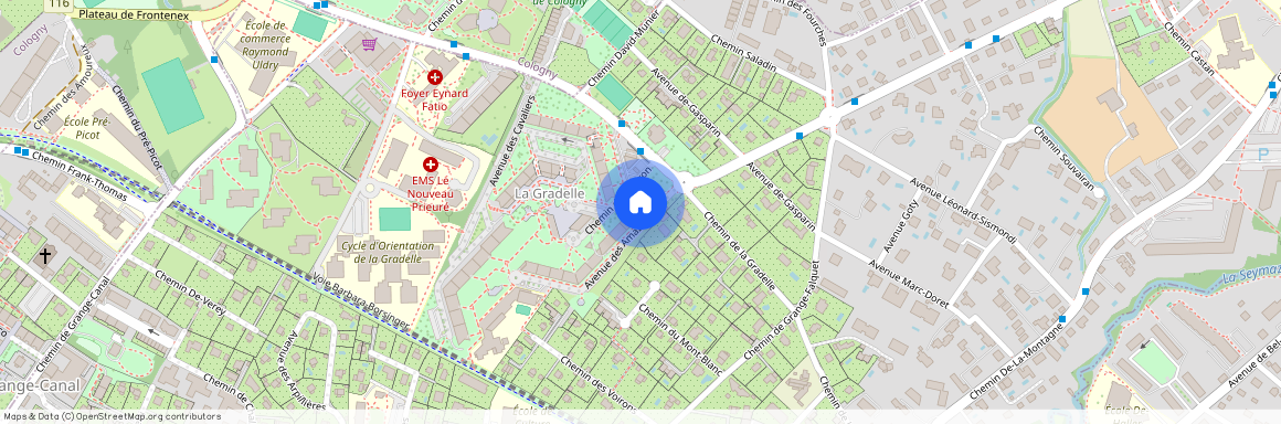 Avenue des Amazones 4, 1224, Chêne-Bougeries