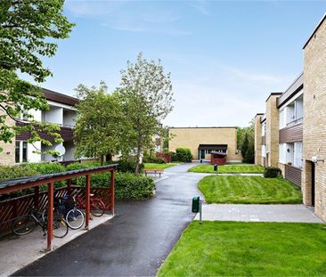 Rydsvägen 148 B - Photo 6