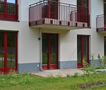Neubau! Großzügige 2 Raumwohnung mit Balkon! - Photo 1