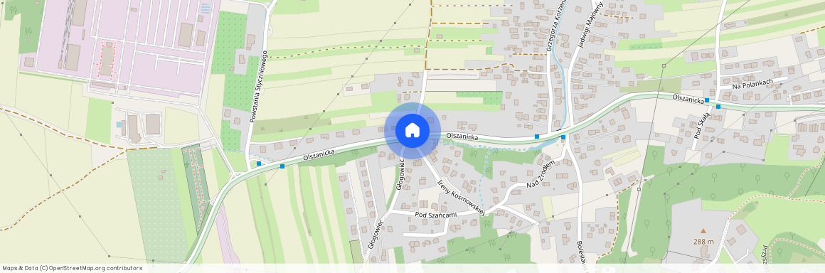 ul. Olszanicka, Olszanica, Zwierzyniec, Kraków, małopolskie