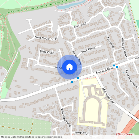 Windmill Avenue, Dereham