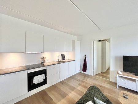 Otto Sterns Have 2, 1. 3, 9220 Aalborg Øst - Photo 3