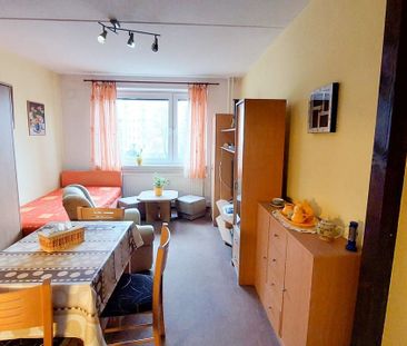 Pronájem bytu 1+kk a garsoniéry 22 m², Přátelství 2050, Cheb - Fotografie 1