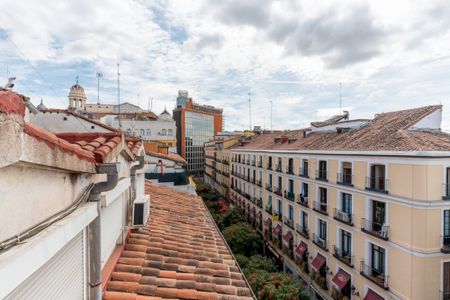 Cozy room in the center of Madrid - Photo 3