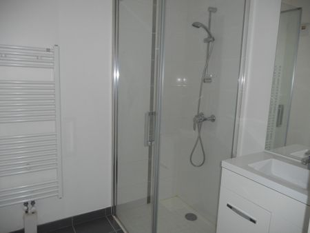 Appartement RUE MARIE CLEMENCE FOURIAUX - Photo 5