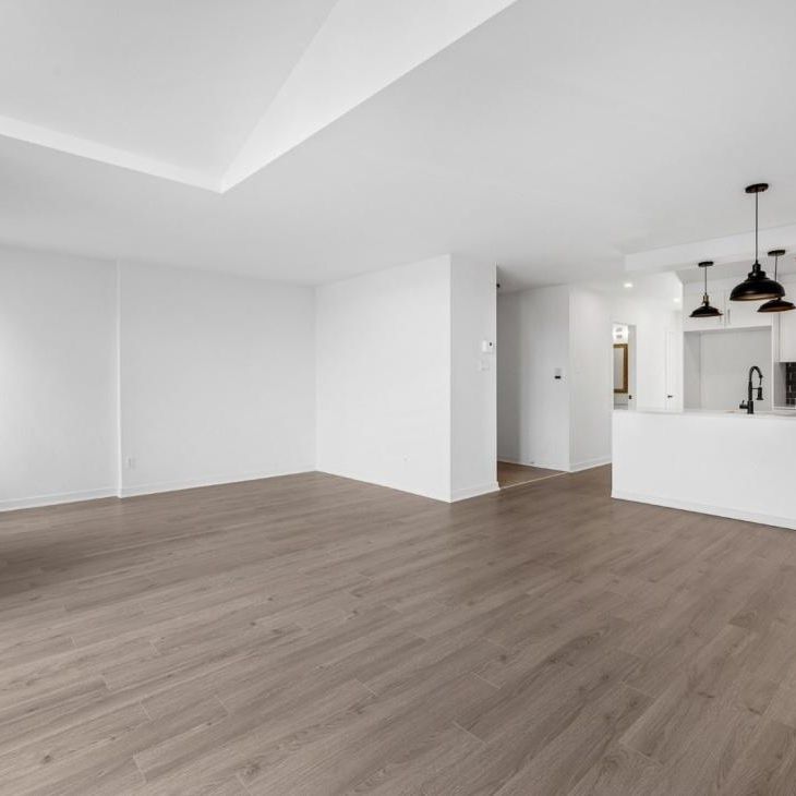 4513 Boul. St-Michel, H1X 3J3, H1X 3J3, Montréal - Photo 1