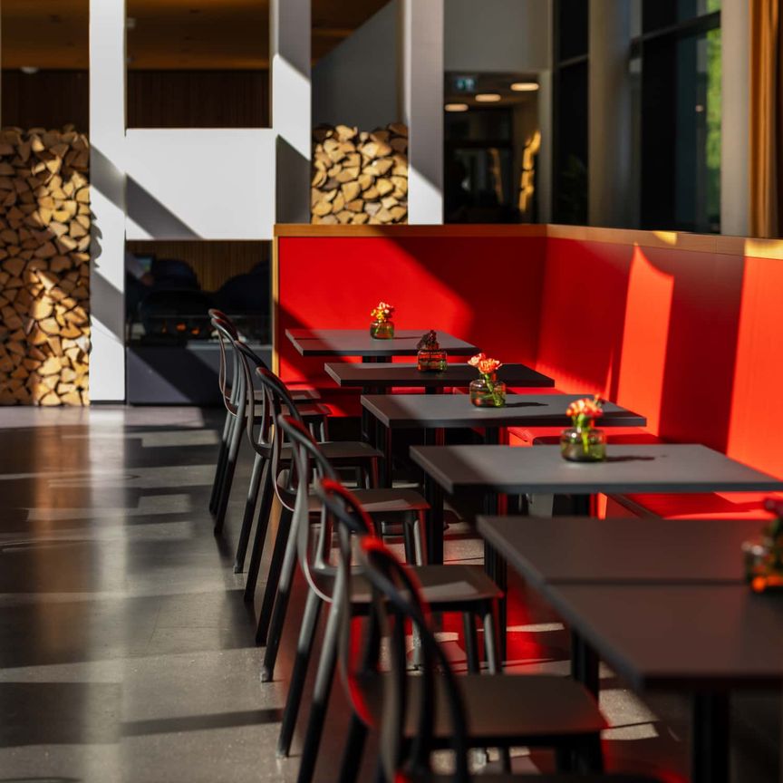 Business Single Studenten - Foto 1