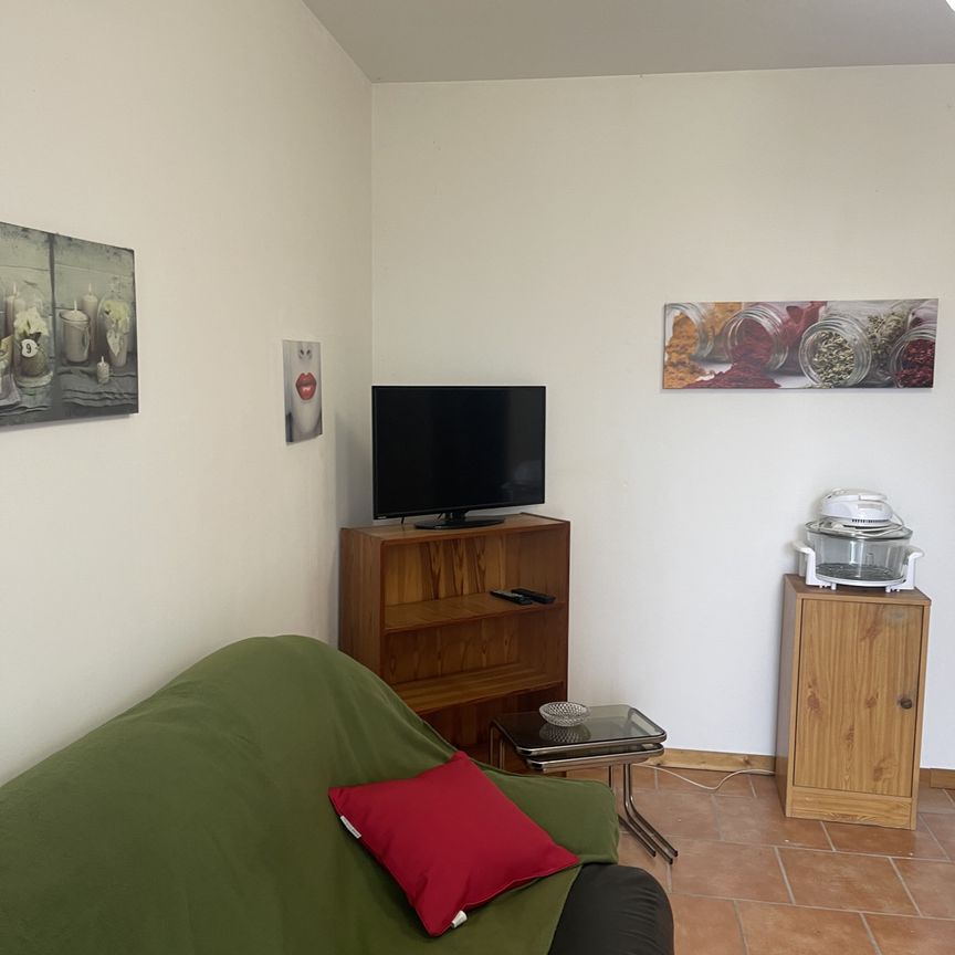 Location Appartement 2 pièces 31m² LE FOUSSERET 31430 - Photo 1