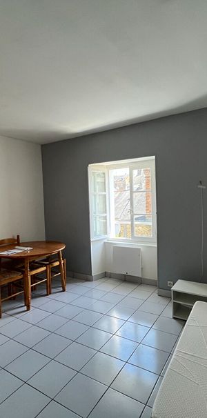 Location Appartement 1 pièce 19m² - Photo 1