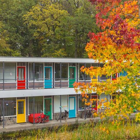 Schildpatio - Photo 4