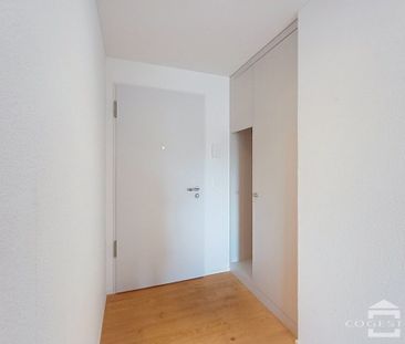 Neue Häuser in der Nähe von Freiburg - Photo 1