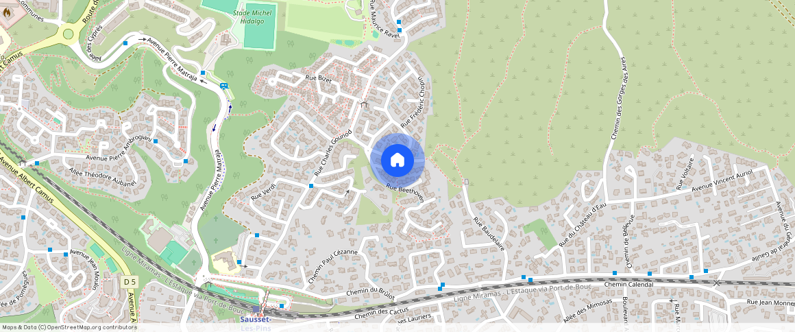 Sausset-les-Pins (13960)