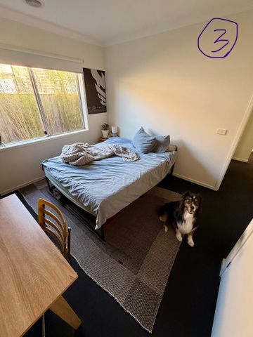 Mount Duneed - Photo 3