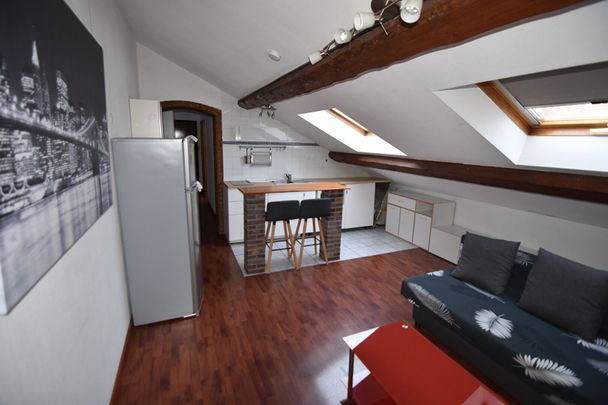 Location Appartement 2 pièces 26m² GRENOBLE 38000 - Photo 1