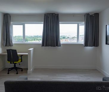 Studio to rent - Photo 3