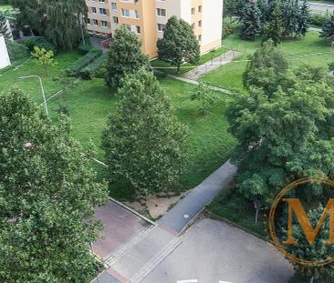 Pronájem bytu 1+kk 40 m² - Photo 2