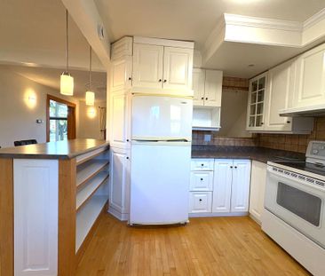 For Lease - 1222 Dorchester Avenue, Carlington - Central Park, Ontario - Photo 4
