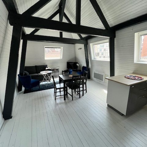 Location Appartement 1 pièce 40m² LILLE 59000 - Photo 1