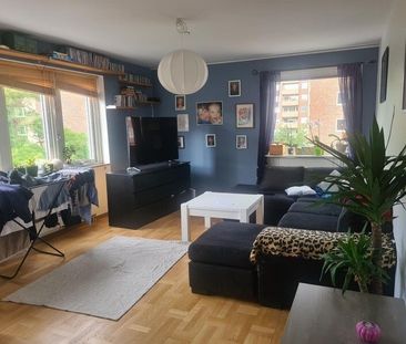 Södra Viktoriagatan, Göteborg - Foto 4