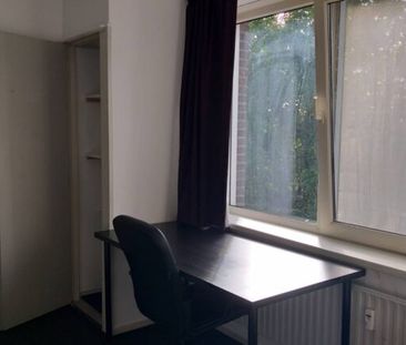 Cederstraat - Foto 3